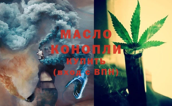 гидра Заводоуковск