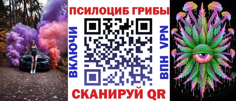 Купить где Малая Вишера Псилоцибиновые грибы мицелий
